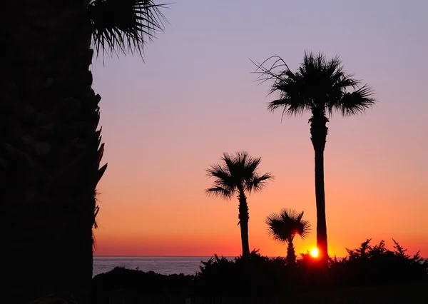 Puesta de sol en Cádiz, España . —  Fotos de Stock