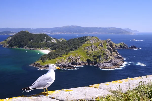 Ostrovů Cies ve Vigo, Španělsko. — Stock fotografie