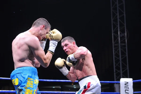 Fight for the European IBF championship — Stock Photo, Image