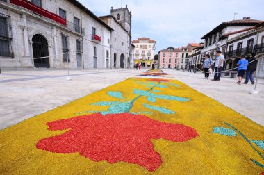 Köy, Pravia Asturias içinde celebra için çiçek halı ile