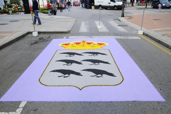 Köy, Pravia Asturias içinde celebra için çiçek halı ile — Stok fotoğraf