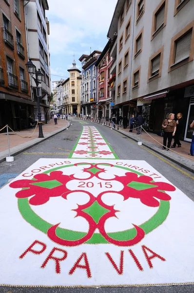 The village of Pravia in Asturias with floral carpets to celebra — Stock Photo, Image