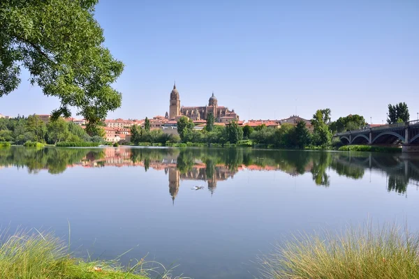 Catedral de Salamanca . — Foto de Stock