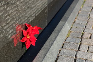 Vietnam Gazileri Anıtı