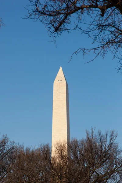 华盛顿纪念碑与蓝蓝的天空 — 图库照片