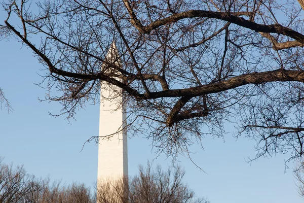 Washington Monument with Blue Sky — Stock Photo, Image