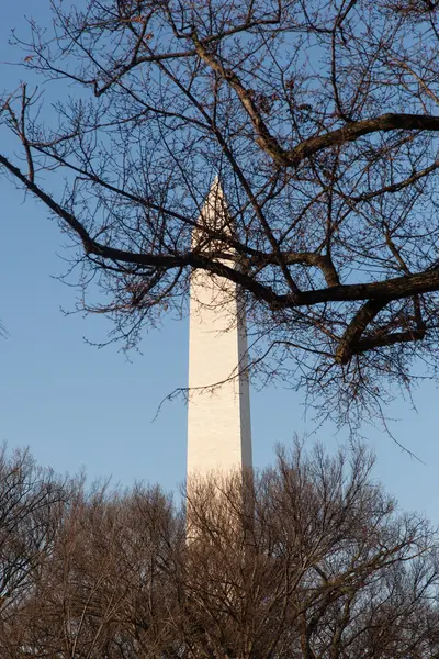 Monumento a Washington con Cielo Azul — Foto de Stock