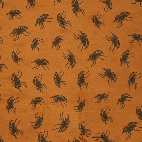 Vintage Kraft Style Halloween Spider Wallpaper Background Created Using Antique — Stock Photo, Image