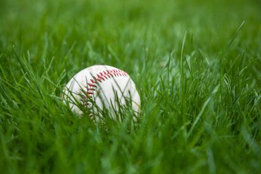 Beyzbolda çimen