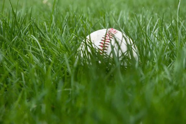 Baseball in Grass — Stock Photo, Image