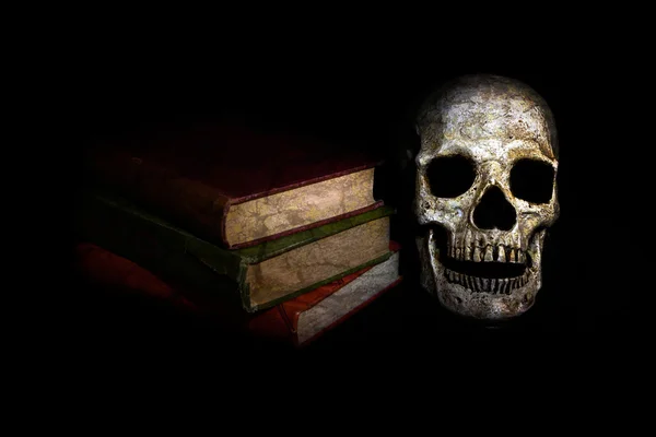 Vintage Skull with Novels — Stock Photo, Image