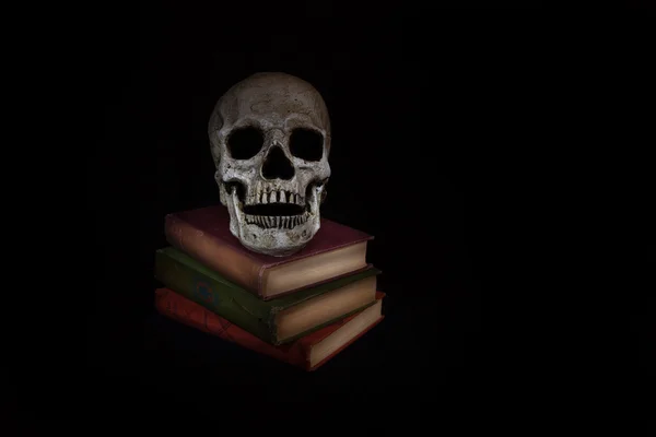 Vintage Skull with Novels — Stock Photo, Image