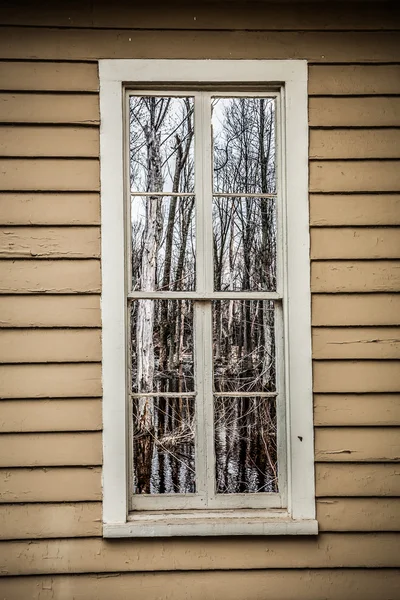 Fenster spiegelt gespenstischen Sumpf wider — Stockfoto