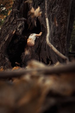 Kanlı bir bebek ormanda ağaçtan sopa