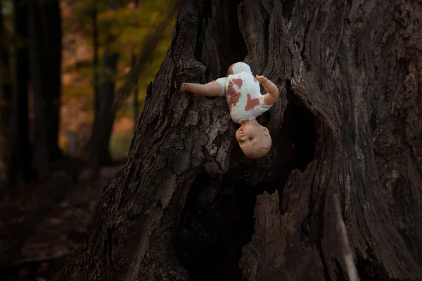 Uma Boneca Ensanguentada Sai Uma Árvore Floresta — Fotografia de Stock