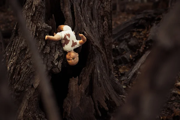 Eine Blutige Puppe Ragt Wald Aus Einem Baum — Stockfoto