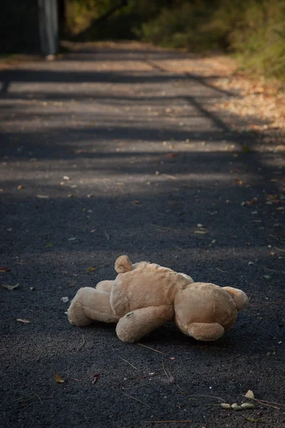 Teddy Bare Path Abandoned — Stock Photo, Image