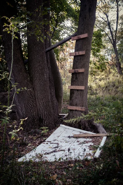 Casa Sull Albero Abbandonata Con Bambola — Foto Stock