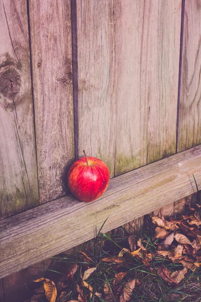 Single Apple Houten Hek — Stockfoto