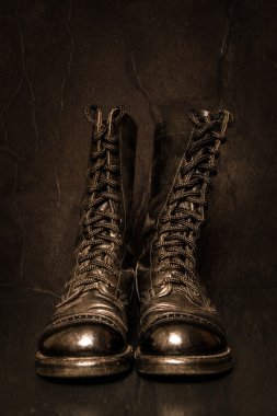 Sepya savaş botları