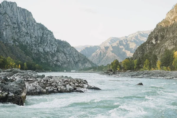 Άποψη Του Τυρκουάζ Ποταμού Katun Και Altai Βουνά Φθινοπωρινή Εποχή — Φωτογραφία Αρχείου