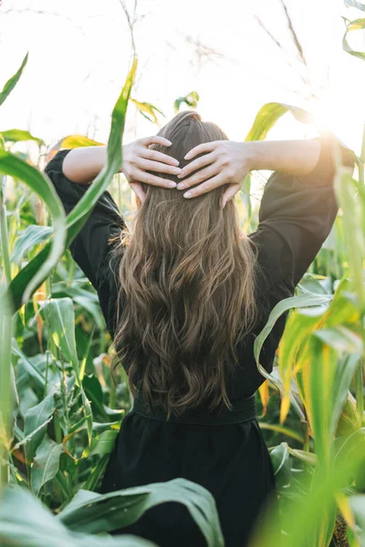Молодая Красивая Беззаботная Женщина Длинными Волосами Солнцезащитных Очках Кукурузном Поле — стоковое фото