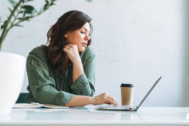 Genç, sırıtan esmer bir kadın. Laptopta çalışıyor. Parlak modern ofisteki ev bitkisiyle birlikte.