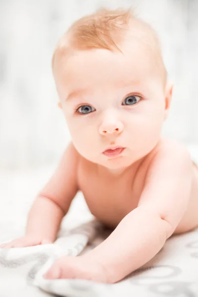 Retrato de menino rastejante — Fotografia de Stock