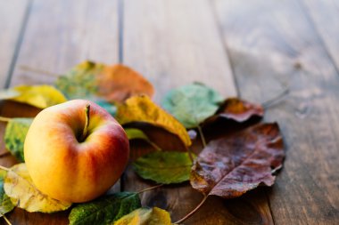 Apple ile yapraklar.