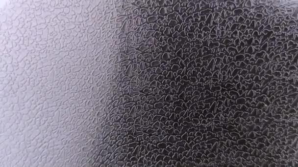 Macro Video Black Artificial Leather Special Print Form Scales Irregular — Stock Video