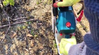 Bir oduncu elektrikli testere ile bir ağacı kesiyor. Talaş doğrudan ekrana atılır. İşteki çiftçi. Yaşlı ağaçları tırmalıyor. Ormanların tahrip edilmesi ve endüstrinin aktif çalışması