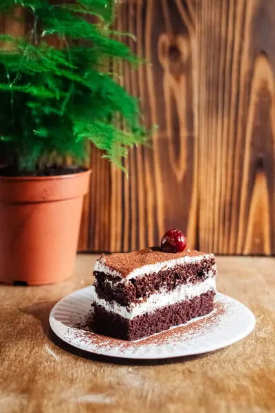特写的一块巧克力蛋糕与牛奶奶油 治疗在于一次性餐具 外卖食品 咖啡店或餐馆里的甜点 — 图库照片