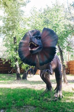 Animated model of an ancient dinosaur. Dilophosaurus full-length. An ancient reptile with a hood and venom from its mouth. Robotics and animatronics. The volumetric model is made of rubber