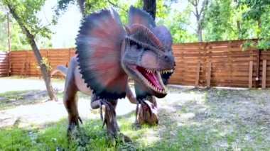 Animated model of an ancient dinosaur. Dilophosaurus full-length. An ancient reptile with a hood and venom from its mouth. Robotics and animatronics. The volumetric model is made of rubber