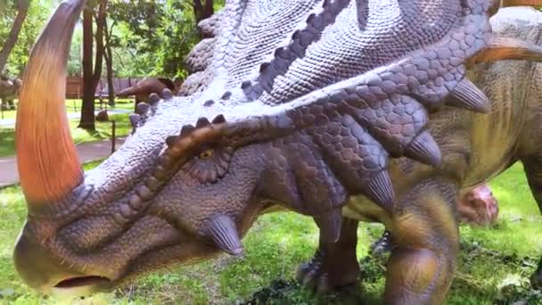 Close Extinct Triceratops Dinosaur Made Rubber Metal Animatronics Robotics Animated — Stock Video