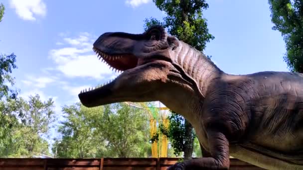成年霸王龙雷克斯的全长特写 灭绝物种的重建 用石头砸死的动物恐龙机器人 动物学和机器人学 — 图库视频影像