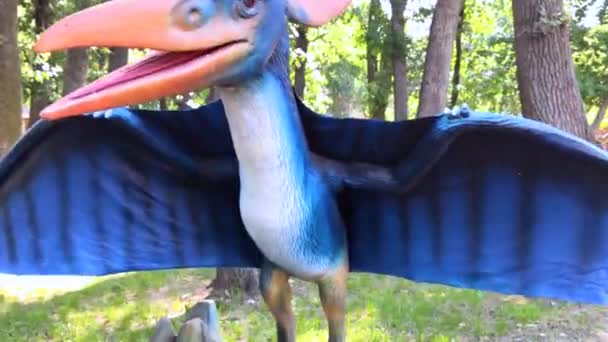 Primo Piano Dinosauro Pteranodon Volante Animatronica Full Length Gomma Metallo — Video Stock