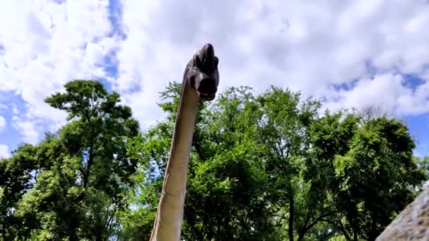 Close Long Necked Dinosaur Stylized Brachiosaurus Made Rubber Paint Metal — Stock Video