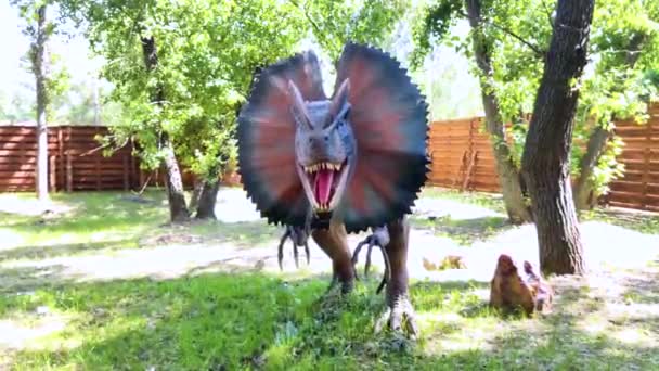 Animated Model Ancient Dinosaur Dilophosaurus Full Length Ancient Reptile Hood — Stock Video