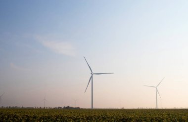 Sis altındaki yel değirmenleri, ayçiçeği tarlasının yanında. Sabah erkenden. Şiddetli bir rüzgar eserken pervanelerin hareketlerine bakın. Rüzgar türbini farklı mesafelere kurulur ve sisin içine gizlenir