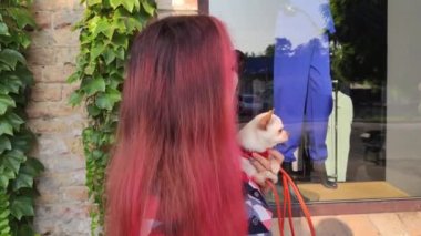Bir butiğin vitrininde kıyafet satan şık giyimli bir kız. Bir kadın kucağında küçük bir chihuahua tutuyor. Evcil hayvan köpekler için bir elbise giyiyor. Alışverişe ve alışverişe. Kağıt alışveriş torbaları.