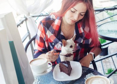 Çekici kız mini chihuahua 'yı çikolatalı pastayla besler. Bir kafede dinlen. Evcil hayvanlara uygunsuz davranılması. Köpekleri çikolatayla beslemek. Sevimli elbiseli evcil hayvan. Tehlikeli alışkanlıklar ve insanların davranışları
