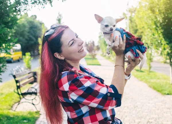 Ragazza Tiene Mini Chihuahua Tra Braccia Baci Tuo Animaletto Cane — Foto Stock