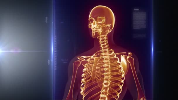 Полное сканирование тела — стоковое видео