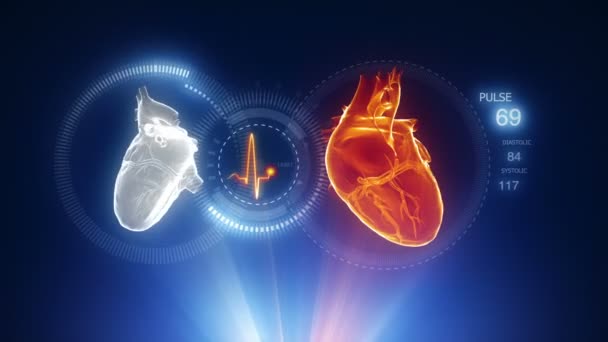 Human heart with pulse trace Stock Footage