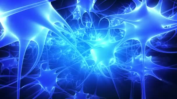 Dans le cerveau humain 