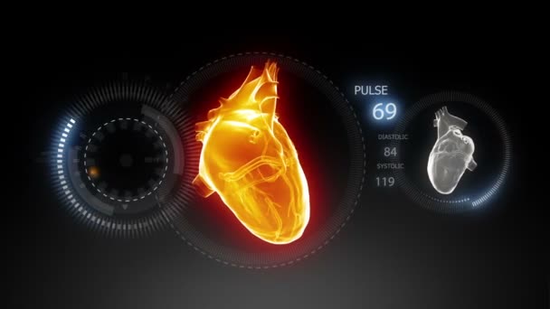 Human heart with pulse trace — Stock Video