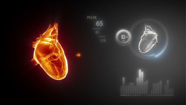 Corazón humano con trazas de pulso — Vídeo de stock