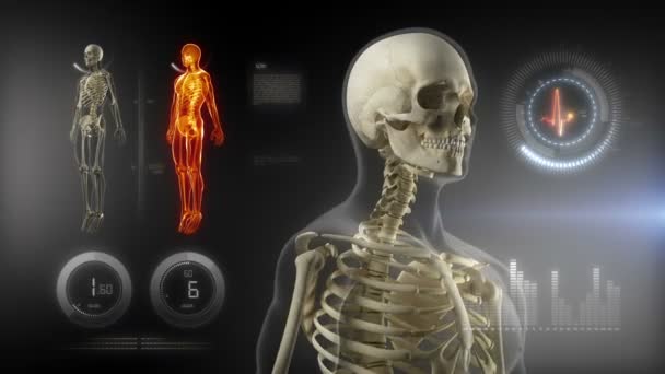 Pantalla médica del cuerpo humano — Vídeo de stock