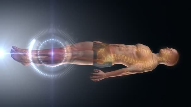 Повне тіло сканування — стокове відео